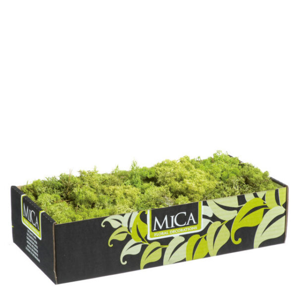 MUSCHIO LICHENE STABILIZZATO 500 GR verde-chiaro-mica (Cod. 7885-03)