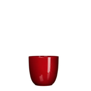 VASO TUSCA H11 D12 rosso (Cod. 24000-05)