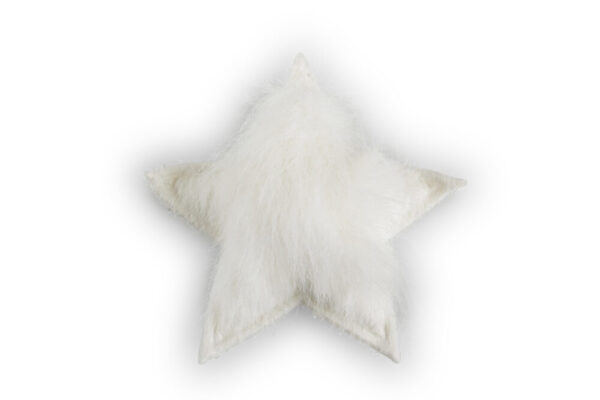 SET 4 STELLE CM.4 crema (Cod. 30284-02)