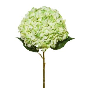 ORTENSIA GIGANTE 111CM  (Cod. 25557-04)