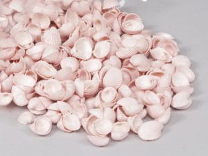 CONCHIGLIE CLAMROSE 1KG rosa (Cod. 25547-02)