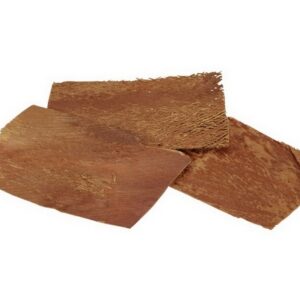 S/25 FETTA PALMA 10X15 CM naturale (Cod. 29022-01)