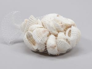 RETE CONCHIGLIE 500 GR.  (Cod. 25431-01)