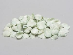 1 KG CONCHIGLIE MINI verde (Cod. 26872-01)
