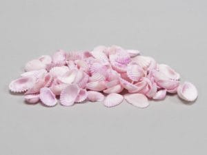 1 KG CONCHIGLIE MINI rosa (Cod. 26872-02)