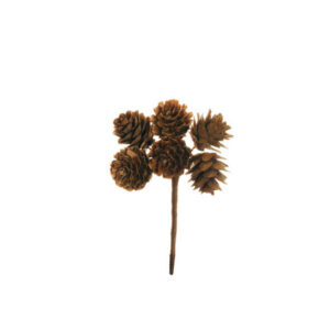 Set 12 PICK PIGNE 13CM  (Cod. 30524-01)