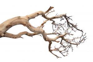 MANZANITA NATURALE L120 CM  (Cod. 29393-01)