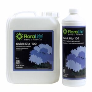 OASIS FLORALIFE QUICK DIP 100 LT.1  (Cod. 22918-01)