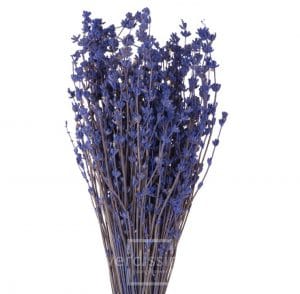LAVANDA STABILIZZATA 130GR (60 CM)  (Cod. 736-01)