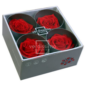 BOX TESTE DI ROSA DIAM. 6,5-8,5CM STAB. PREMIUM 4 PZ rosso (Cod. 8187-03)
