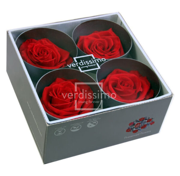 BOX TESTE DI ROSA DIAM. 6,5-8,5CM STAB. PREMIUM 4 PZ rosso (Cod. 8187-03)