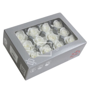 TESTE DI ROSA DIAM 3,5-4,5 MINI STABILIZZ. PZ 12 bianco (Cod. 8331-01)