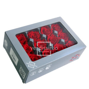 TESTE DI ROSA DIAM 3,5-4,5 MINI STABILIZZ. PZ 12 rosso (Cod. 8331-03)