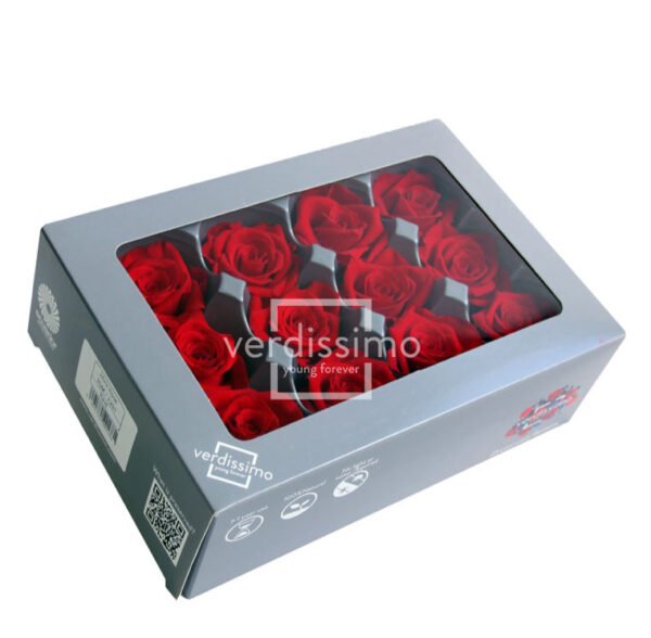 TESTE DI ROSA DIAM 3,5-4,5 MINI STABILIZZ. PZ 12 rosso (Cod. 8331-03)