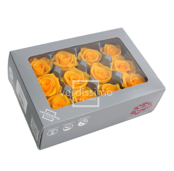 TESTE DI ROSA DIAM 3,5-4,5 MINI STABILIZZ. PZ 12 giallo-caldo (Cod. 8331-04)