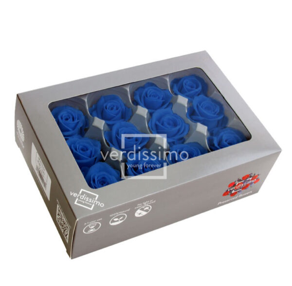 TESTE DI ROSA DIAM 3,5-4,5 MINI STABILIZZ. PZ 12 blu-scuro (Cod. 8331-12)