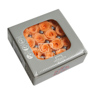 BOX TESTE DI ROSA DIAM. 2,5-3 CM PRINCESS PZ.16 pesca (Cod. 8332-08)