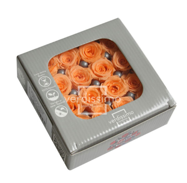 BOX TESTE DI ROSA DIAM. 2,5-3 CM PRINCESS PZ.16 pesca (Cod. 8332-08)