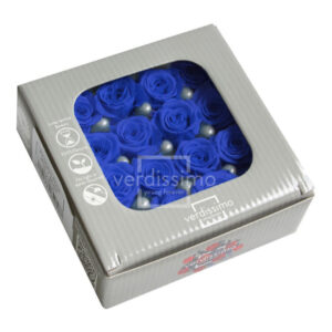 BOX TESTE DI ROSA DIAM. 2,5-3 CM PRINCESS PZ.16 blu (Cod. 8332-09)