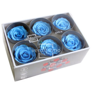 BOX TESTE DI ROSA D 6-6,5CM STABILIZ. PZ.6 azzurro (Cod. 8330-15)