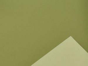 BOBINA SATINATO BICOLORE PPL 1X40MT  salvia-muschio (Cod. 30846-08)