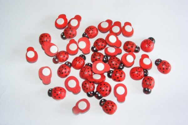 COCCINELLE MM18 BIADESIVE PZ 80 rosse (Cod. 7630-01)