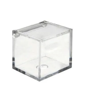 CUBO PLEXIGLASS 6X6X6  (Cod. 31200-01)