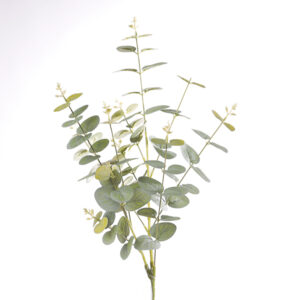 RAMO EUCALIPTO 27X84 CM verde (Cod. 30935-02)