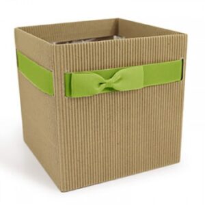 BORSINE SIMPLY MEDIUM 12x12 H12,5 PZ10 naturale-verde (Cod. 25713-05)