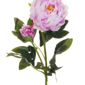 PEONIA RAMO X2 1 FIORE E 1 BOCCIOLO APERTO 66CM lilla (Cod. 25470-08)