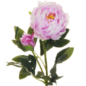 PEONIA RAMO X2 1 FIORE E 1 BOCCIOLO APERTO 66CM lilla (Cod. 25470-08)