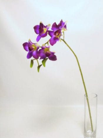 ORCHIDEA SINGAPORE DENDROBIUM 5 FIORI 3 BOCCIOLI 58CM naturale (Cod. 22267-02)