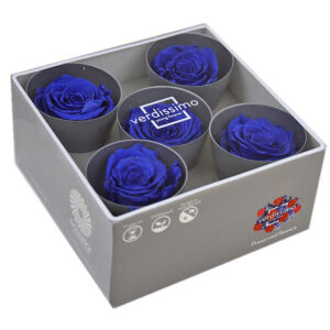 ROSE QUEEN W-BOX 5PZ (DIAM. TRA 6,3 E 7,3 CM) blu-scuro (Cod. 31218-09)