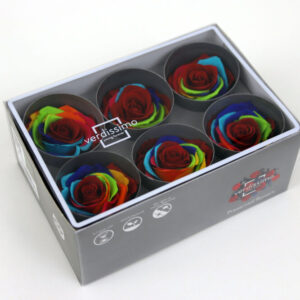 ROSA W-BOX RAINBOW 6 PZ  (Cod. 30682-01)