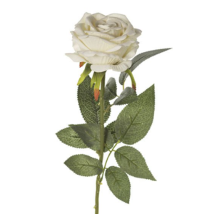 ROSA SINGOLA VELVET 16X74 CM crema (Cod. 26615-03)