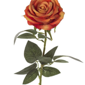 ROSA SINGOLA VELVET 16X74 CM arancio (Cod. 26615-05)