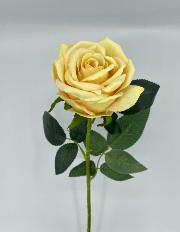 ROSA SINGOLA VELVET 16X74 CM new-yellow (Cod. 26615-08)