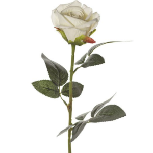 RAMO ROSA VELVET MEDIA 74 CM crema (Cod. 26614-03)