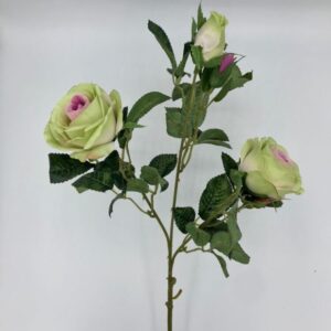 ROSA SOFIA X3 CM70 tea (Cod. 27270-05)