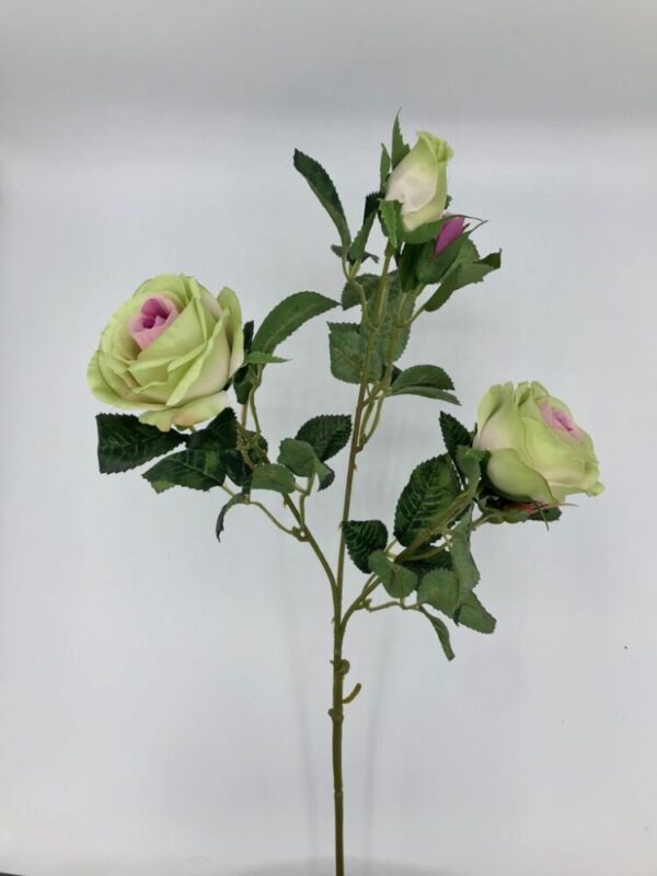 ROSA SOFIA X3 CM70 tea (Cod. 27270-05)