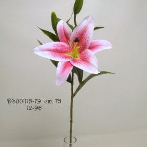RAMO LILIUM CM75 rhubrum (Cod. 30347-04)