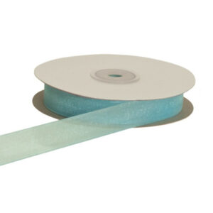 NASTRO ORGANZA MM40 MT50  cielo (Cod. 2398-14)