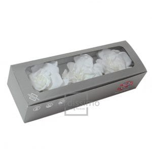 GARDENIA BIANCA STABILIZZATA BOX 3 PZ  (Cod. 28034-01)