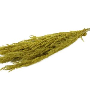 MAZZO PAMPAS 8PZ L120 IN BUSTA giallo (Cod. 31343-04)