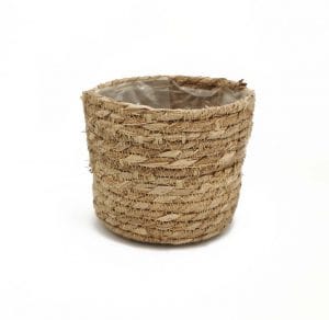 CASPO' ERBA PALUSTRE CILINDRO D20 H20  (Cod. 31364-01)