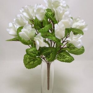 BUSH CICLAMINI X14 crema (Cod. 30064-03)