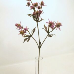 RAMO CARDO X3 CM64 malva (Cod. 31325-02)