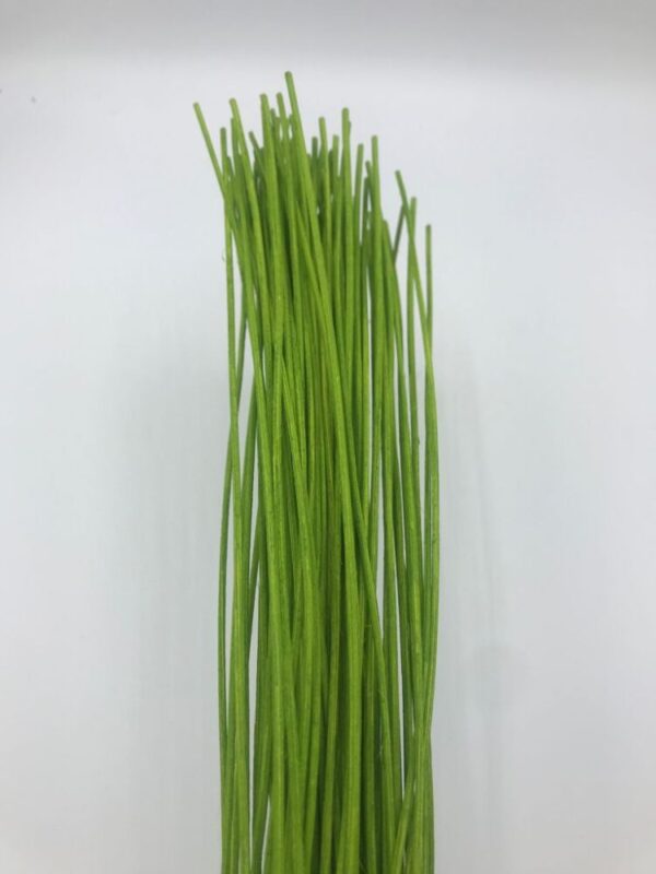 MIDOLLINO COLORATO H.80 BUSTA. 100GR verde-mela (Cod. 3623-12)