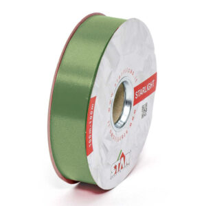NASTRO MM.31 LISCIO MT.100 col.03 (Cod. 1018-03)