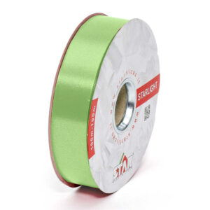 NASTRO MM.31 LISCIO MT.100 verde-acido-col.-08 (Cod. 1018-05)
